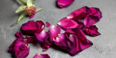 pink petal flower on floor