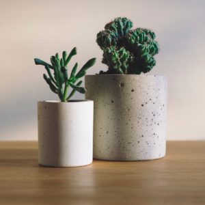 shallow focus photography of potted plants